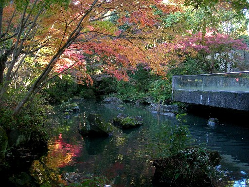 愛知県緑化センター　せせらぎその1