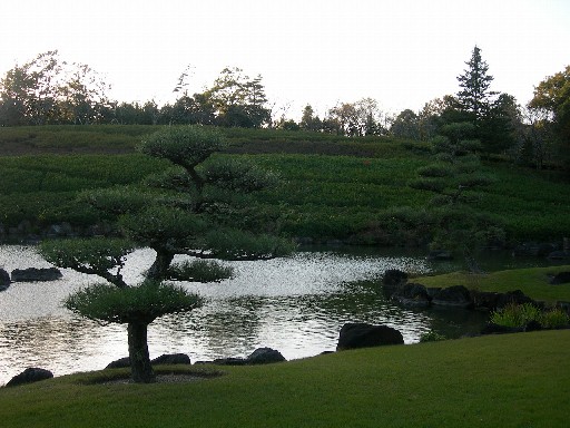 愛知県緑化センター　日本庭園その2