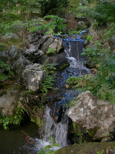 依水園　後園その4