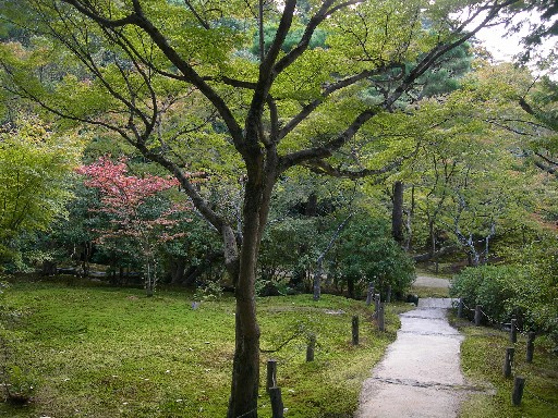 依水園　後園その8