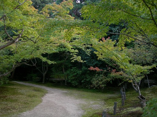 依水園　後園その9