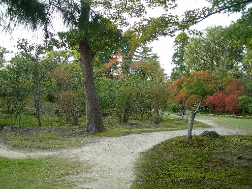 依水園　後園その11