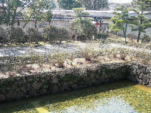 中宮寺　本堂堀