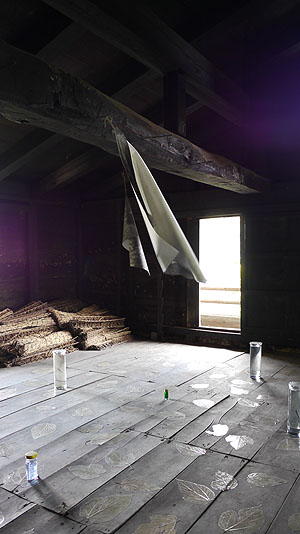 2011 中之条ビエンナーレ