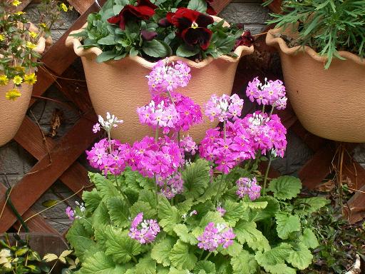 UNI_0182.jpg