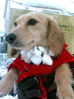 雪ひげ！？