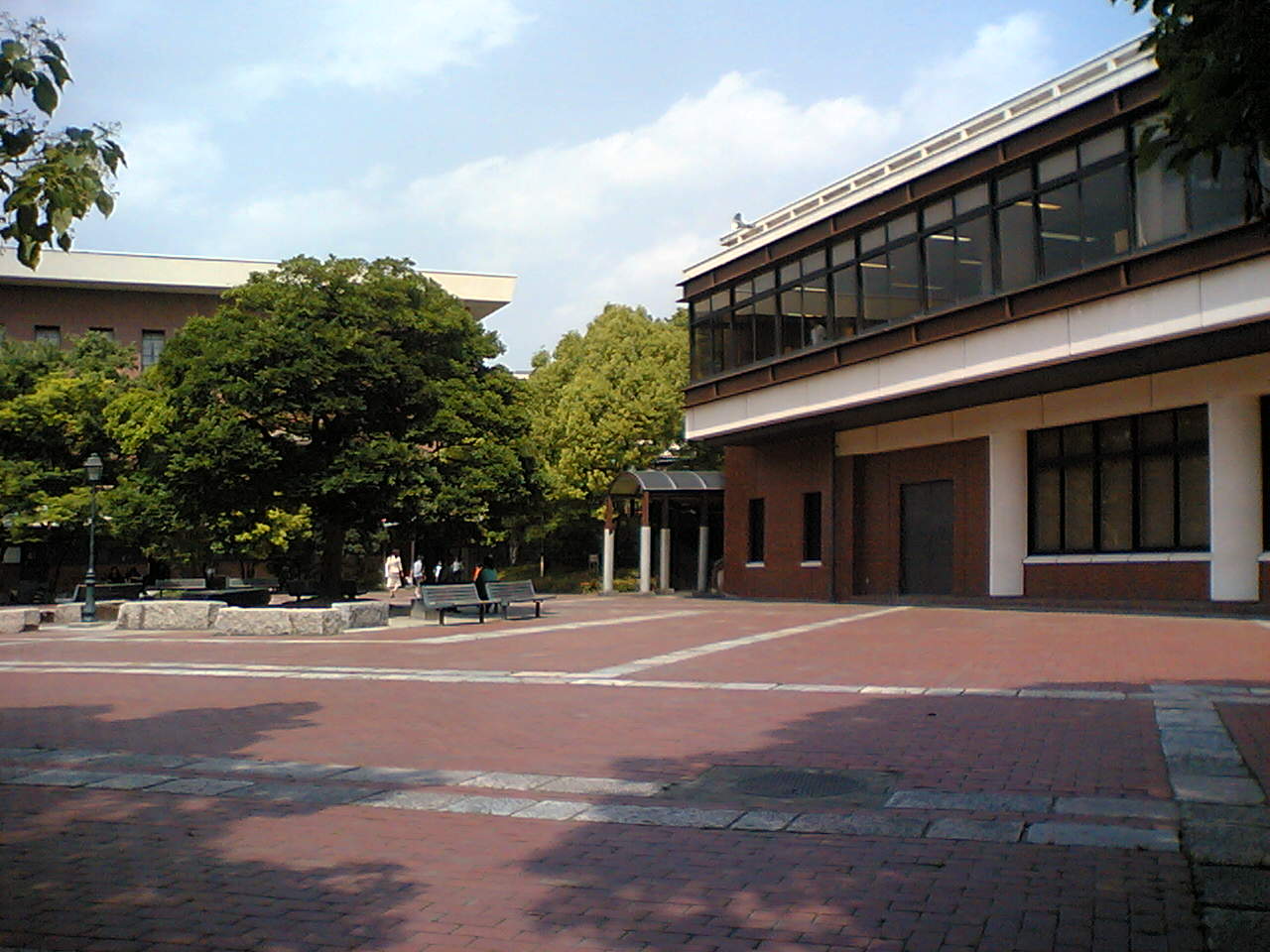 中庭２