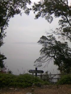pedero