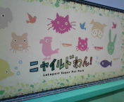 ニャイルドわんって・・・＾＾；