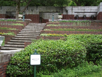 神戸布引ハーブ園７