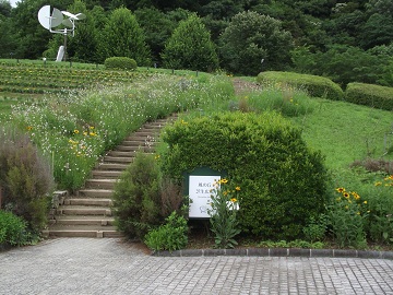 神戸布引ハーブ園８