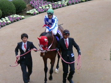グランプリボス