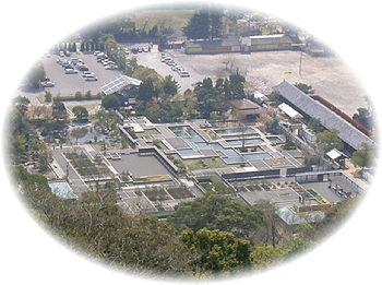 二ノ丸史跡庭園