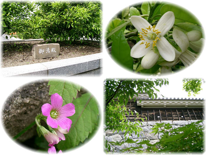 二ノ丸史跡庭園２