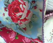 New Rose Bloom 。。。