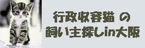 温かいご家庭にご縁があるように＾＾