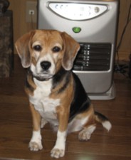 ララとストーブ