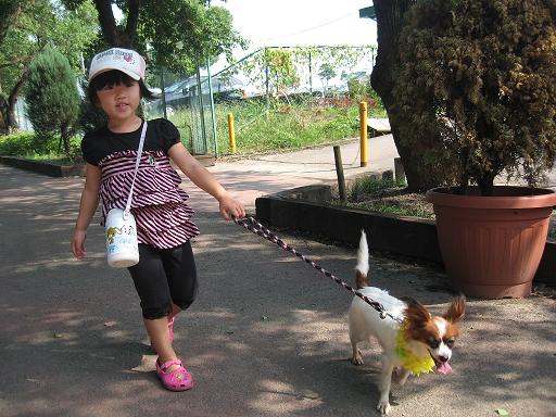 パピヨン