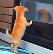 SN3O0547 - コピー.jpg