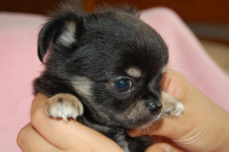 DSC_0112 - コピー.JPG