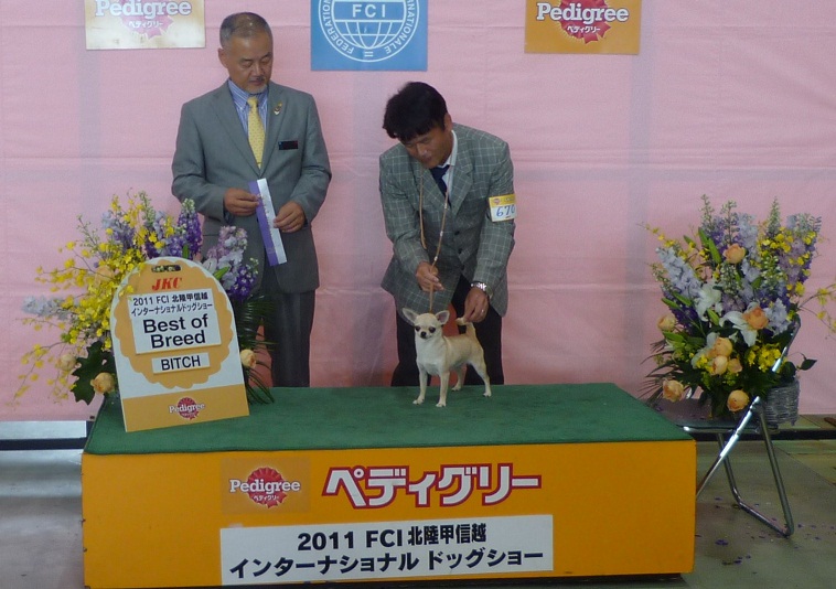 P1040225 - コピー.JPG