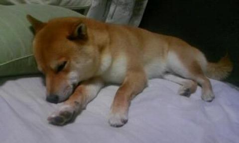 眠い