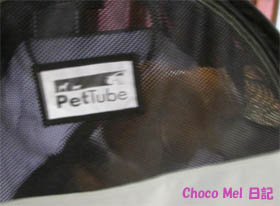 pettube3