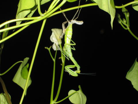 photo 0111.jpg