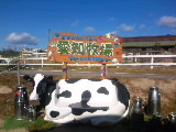 2011.01.07-1.jpg