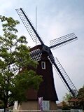 2008.06.08-2