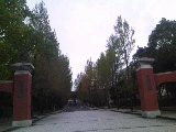 2010.10.31-1.jpg