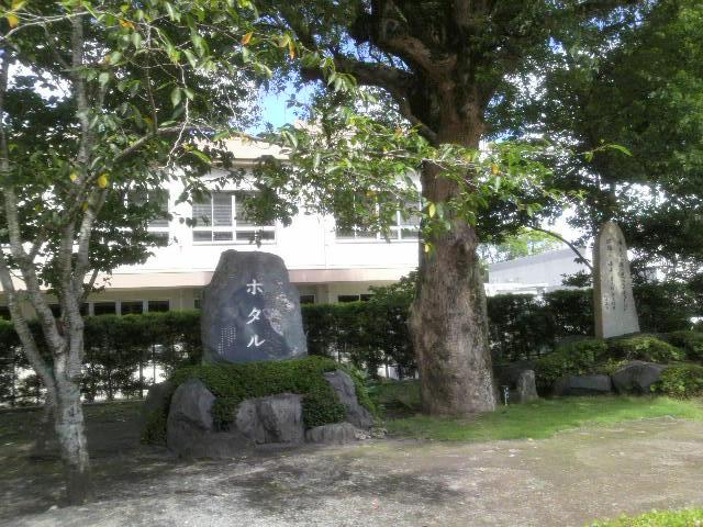 知覧特攻平和会館　ほたる