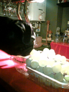 fruit3