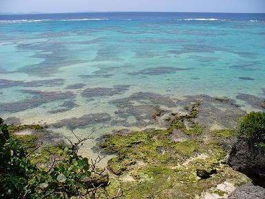 海