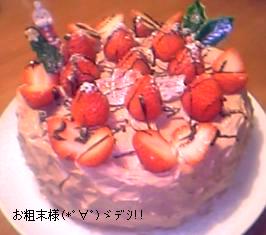 ｸﾘｽﾏｽｹｰｷ横