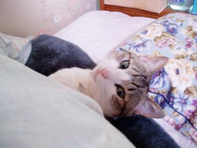 何撮ってるのよ