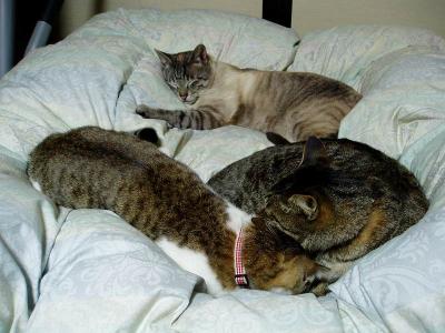 すき間が･･･