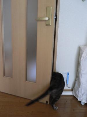 何処へ？