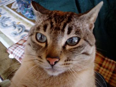 早くおろして（冷静に･･･）