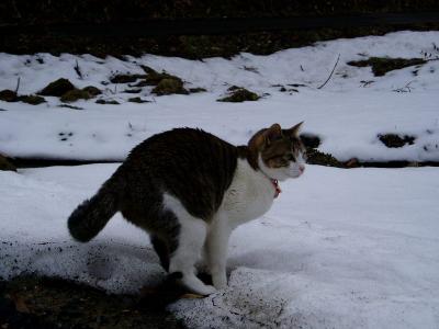 ちょっと寒いかにゃ･･･