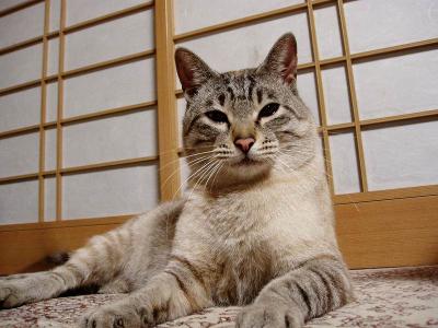 今年は頑張るぜ～