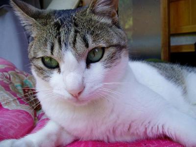 よいっしょっと･･･