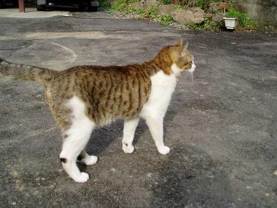 ママも一緒に行く？