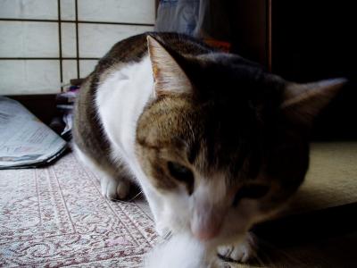 あぐあぐ･･･