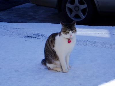 でもやっぱり寒い