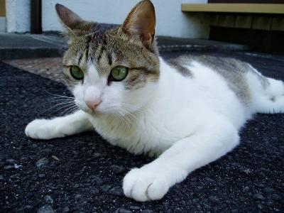 やっぱりお外が好きなの