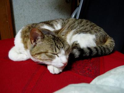 私はここがお気に入り