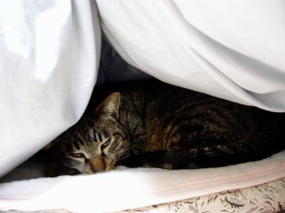 寒いから･･･