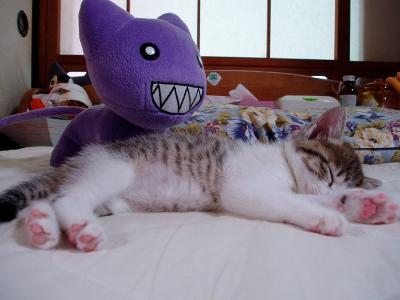 チビとにゃ　２