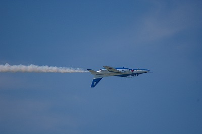 IMGP6805.jpg